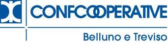 Homepage 21 Logo_CCI_Belluno-Treviso_web_BLU