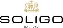 Homepage 75 COLLISOLIGO-logo
